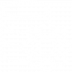 ds icon ds icon